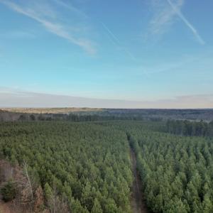 Photo #2 of Perkins Mill Rd, Dillwyn, VA 164.0 acres