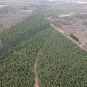 Photo #4 of Perkins Mill Rd, Dillwyn, VA 164.0 acres