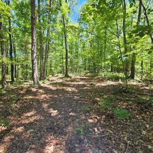 Photo #10 of 15 Ac Manteo Rd, Buckingham, VA 15.0 acres