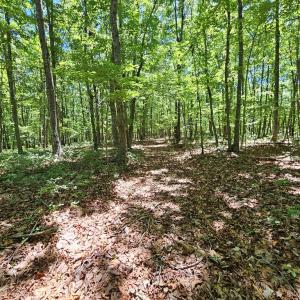 Photo #11 of 15 Ac Manteo Rd, Buckingham, VA 15.0 acres