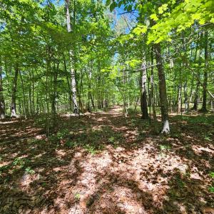 Photo #12 of 15 Ac Manteo Rd, Buckingham, VA 15.0 acres