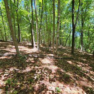 Photo #13 of 15 Ac Manteo Rd, Buckingham, VA 15.0 acres