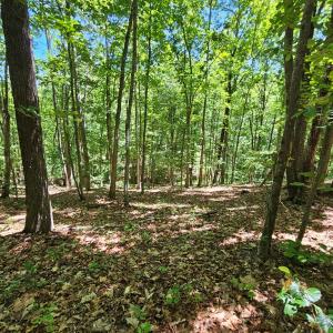 Photo #14 of 15 Ac Manteo Rd, Buckingham, VA 15.0 acres