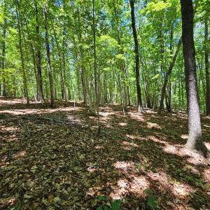 Photo #15 of 15 Ac Manteo Rd, Buckingham, VA 15.0 acres