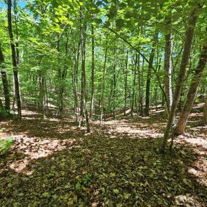 Photo #16 of 15 Ac Manteo Rd, Buckingham, VA 15.0 acres
