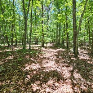 Photo #17 of 15 Ac Manteo Rd, Buckingham, VA 15.0 acres
