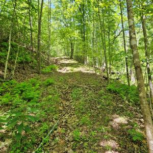 Photo #18 of 15 Ac Manteo Rd, Buckingham, VA 15.0 acres