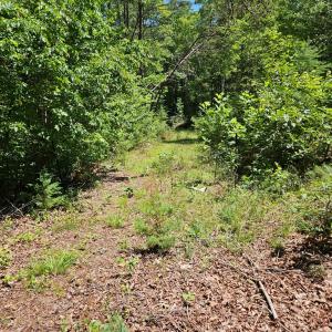 Photo #2 of 15 Ac Manteo Rd, Buckingham, VA 15.0 acres