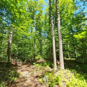 Photo #4 of 15 Ac Manteo Rd, Buckingham, VA 15.0 acres