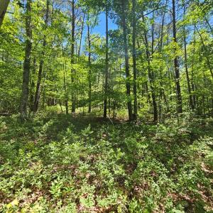 Photo #9 of 15 Ac Manteo Rd, Buckingham, VA 15.0 acres