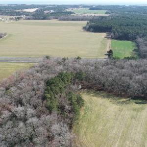 Photo #10 of 0 LANKFORD HWY, PARKSLEY, VA 45.3 acres