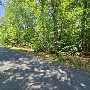 Photo #2 of 9 Ac Childress, Dillwyn, VA 9.0 acres