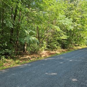 Photo #3 of 9 Ac Childress, Dillwyn, VA 9.0 acres