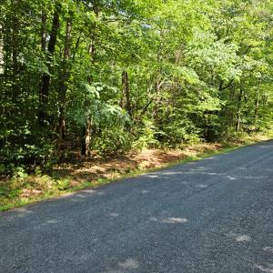 Photo #4 of 9 Ac Childress, Dillwyn, VA 9.0 acres