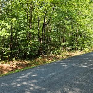 Photo #5 of 9 Ac Childress, Dillwyn, VA 9.0 acres