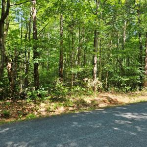 Photo #6 of 9 Ac Childress, Dillwyn, VA 9.0 acres