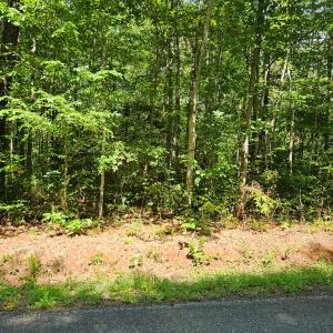 Photo #8 of 9 Ac Childress, Dillwyn, VA 9.0 acres