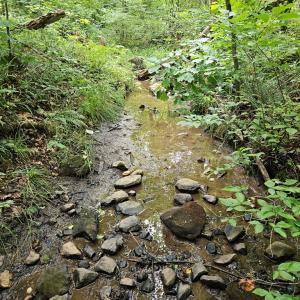 Photo #17 of 9 Ac Childress, Dillwyn, VA 9.0 acres