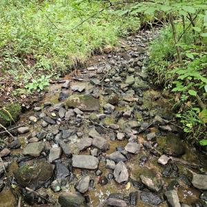 Photo #18 of 9 Ac Childress, Dillwyn, VA 9.0 acres