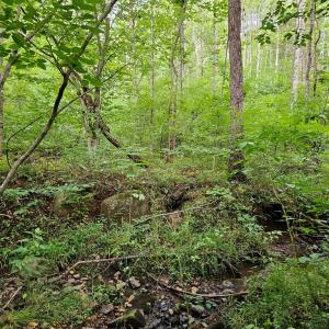 Photo #20 of 9 Ac Childress, Dillwyn, VA 9.0 acres