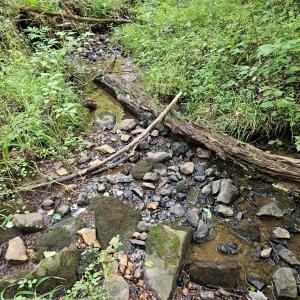 Photo #3 of 9 Ac Childress, Dillwyn, VA 9.0 acres