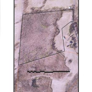 Photo #3 of Mulberry Hill, Randolph, VA 26.4 acres