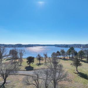 Photo #15 of Lot 75 SANDPIPER COVE RD, ONANCOCK, VA 40.9 acres