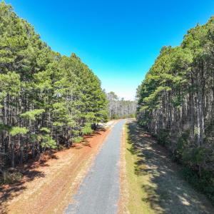 Photo #3 of Lot 75 SANDPIPER COVE RD, ONANCOCK, VA 40.9 acres