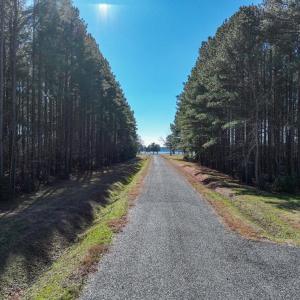 Photo #4 of Lot 75 SANDPIPER COVE RD, ONANCOCK, VA 40.9 acres