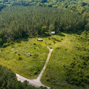 Photo #13 of Wallace's Bridge Road, Lunenburg, VA 4.7 acres