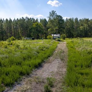 Photo #14 of Wallace's Bridge Road, Lunenburg, VA 4.7 acres