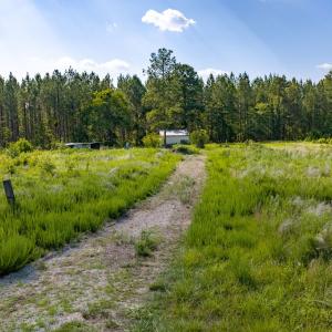 Photo #15 of Wallace's Bridge Road, Lunenburg, VA 4.7 acres
