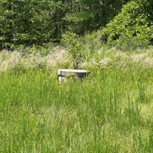 Photo #30 of Wallace's Bridge Road, Lunenburg, VA 4.7 acres