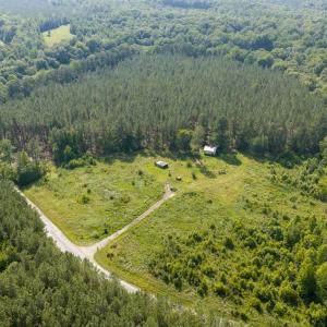Photo #4 of Wallace's Bridge Road, Lunenburg, VA 4.7 acres
