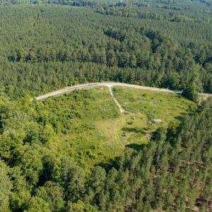 Photo #7 of Wallace's Bridge Road, Lunenburg, VA 4.7 acres
