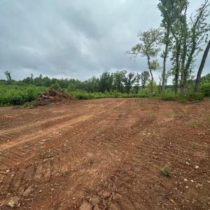 Photo #2 of Kings Road, Green Bay, VA 5.3 acres