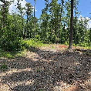 Photo #2 of Patrick Henry Hwy, Meherrin, VA 7.6 acres
