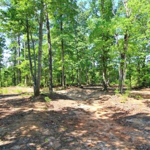 Photo #10 of Community Rd., Dillwyn, VA 3.7 acres