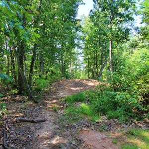 Photo #11 of Community Rd., Dillwyn, VA 3.7 acres
