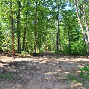 Photo #12 of Community Rd., Dillwyn, VA 3.7 acres