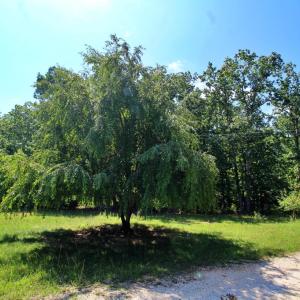 Photo #4 of Community Rd., Dillwyn, VA 3.7 acres
