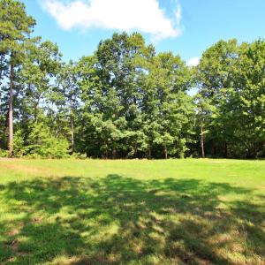 Photo #6 of Community Rd., Dillwyn, VA 3.7 acres