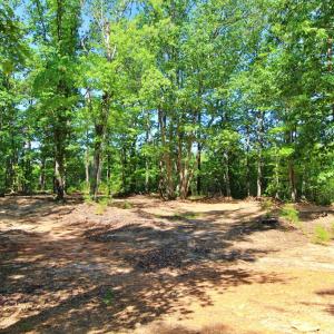 Photo #8 of Community Rd., Dillwyn, VA 3.7 acres