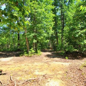 Photo #9 of Community Rd., Dillwyn, VA 3.7 acres