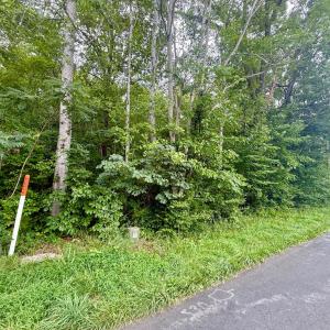 Photo #5 of Forest Chapel Rd, Pamplin, VA 0.7 acres