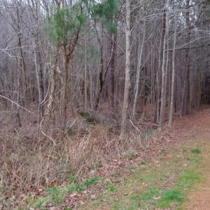 Photo #4 of Lot A COUNTRY CLUB RD, MELFA, VA 21.0 acres