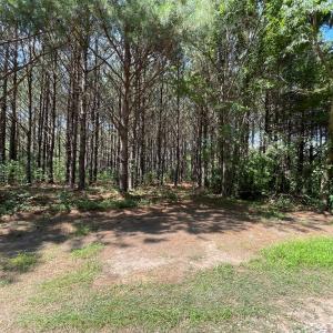 Photo #12 of Deer Run Rd, Blackstone, VA 7.0 acres