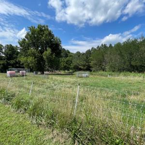 Photo #8 of Deer Run Rd, Blackstone, VA 7.0 acres
