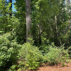 Photo #7 of Birch Ct, Bracey, VA 0.6 acres