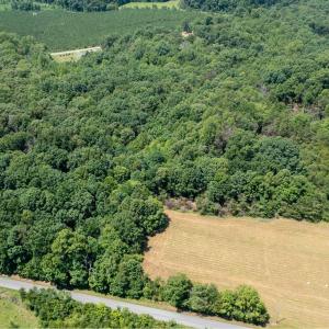 Photo #12 of 639 Elam Road, Pamplin, VA 4.0 acres
